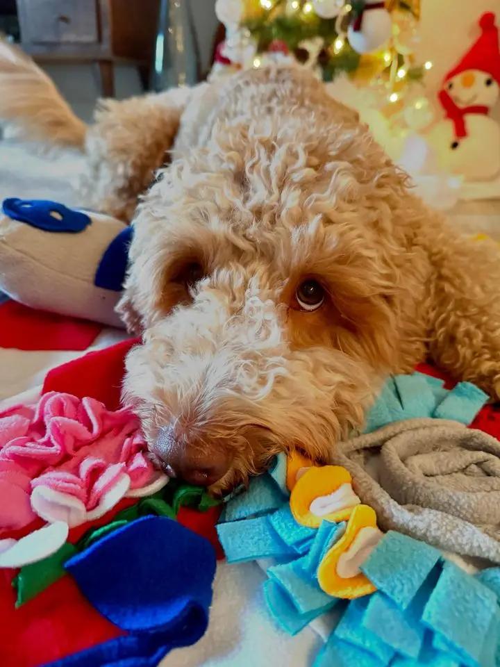 Squeaky Bone Snuffle Mat for Dogs – Interactive Foraging Fun, 24"