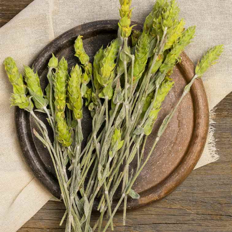 Sage Crown Herbal Tea – Whole Flower Heads by Rayhana Organics