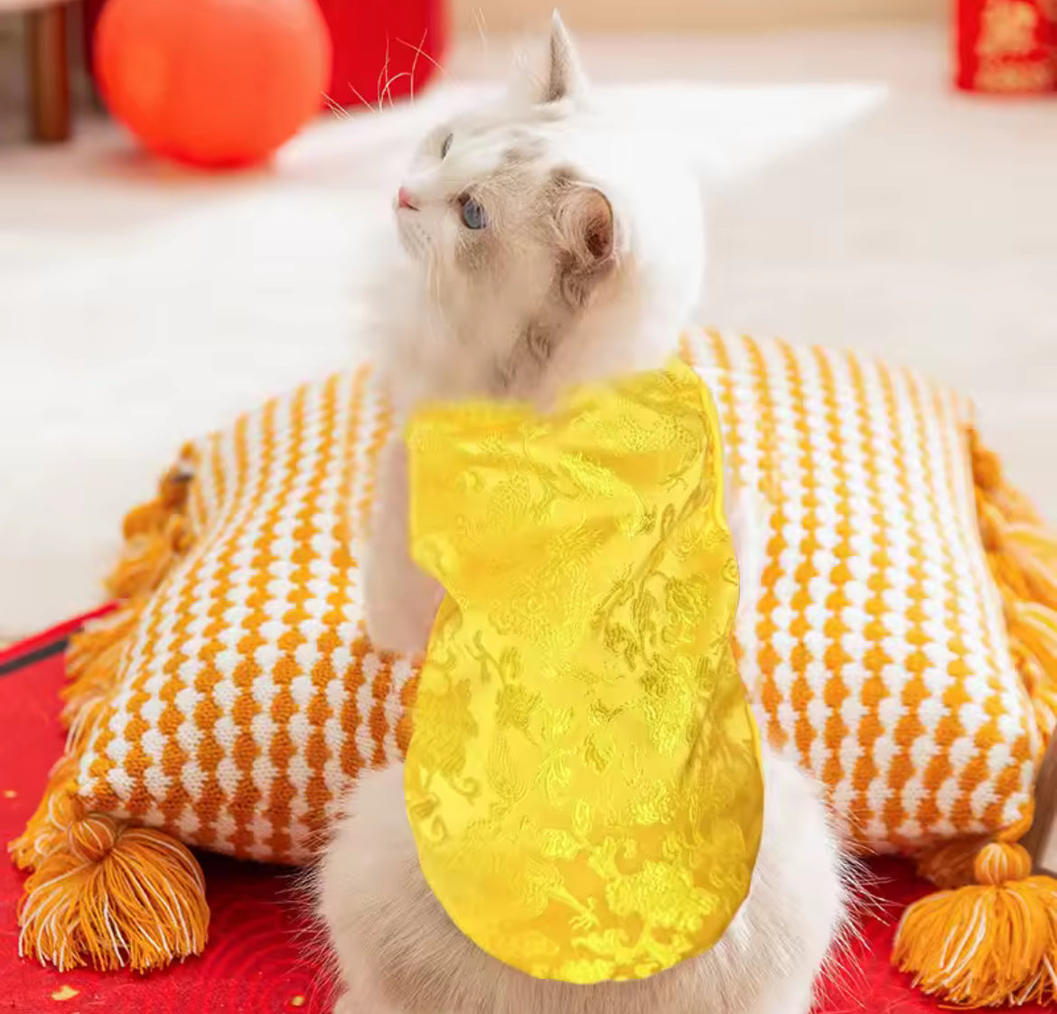 Golden Fortune Chinese New Year Pet Shirt | Yellow Brocade Lunar Top