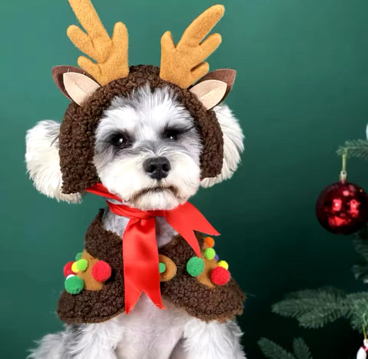 Reindeer Christmas Cape Set – Luxury Holiday Outfit for Dogs