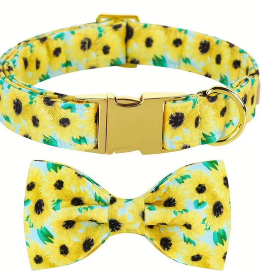 Daisy Dog Bow Tie Collar | Decorative Dog Collar