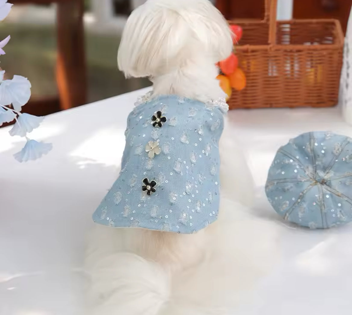 Cindirella Dress & Hat Set – Luxury Fantasy Dog Outfit
