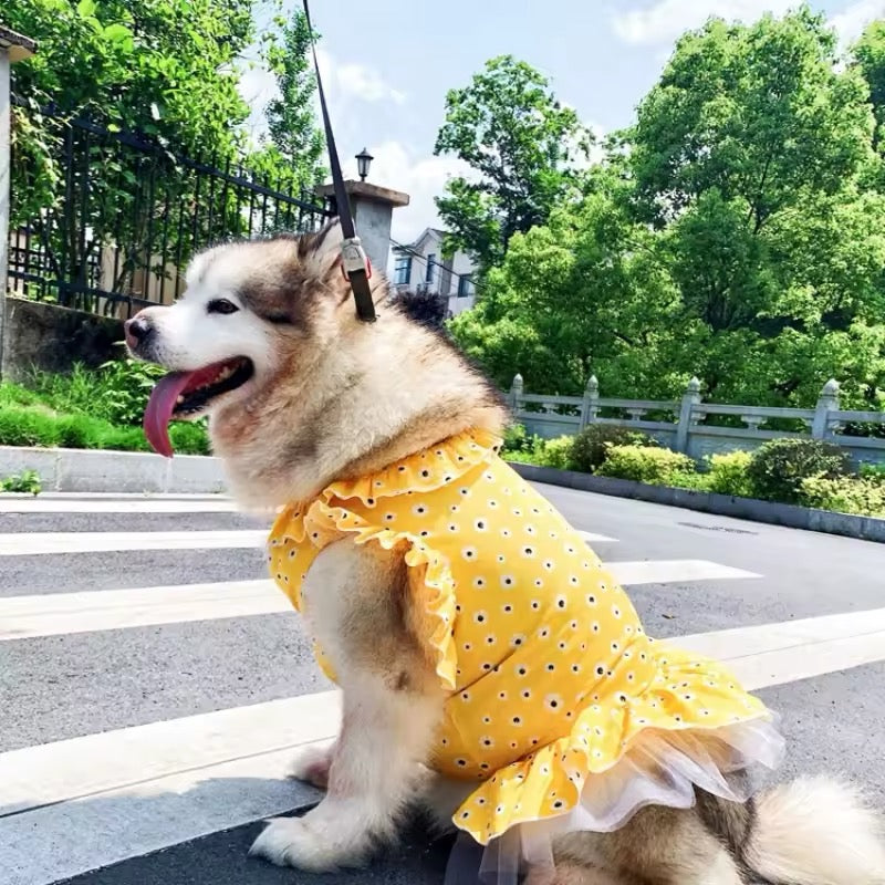 Daisy Spring Dress – Floral Luxury Dog Dress for Large Breeds
