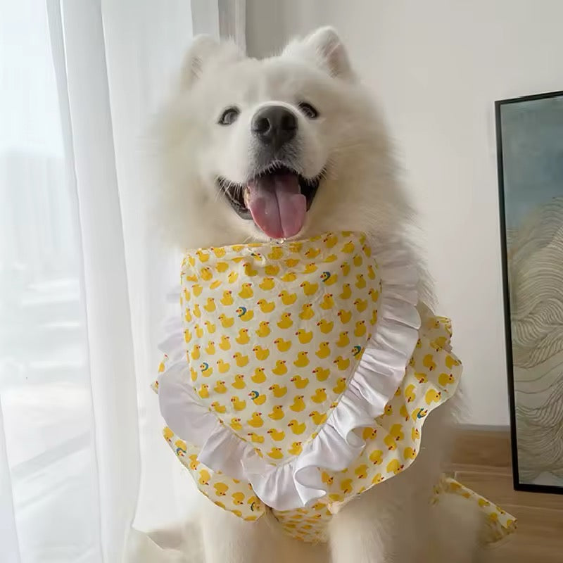 Summertime Happiness Dress Set – Luxury Large Breed Dog Dress with Hat