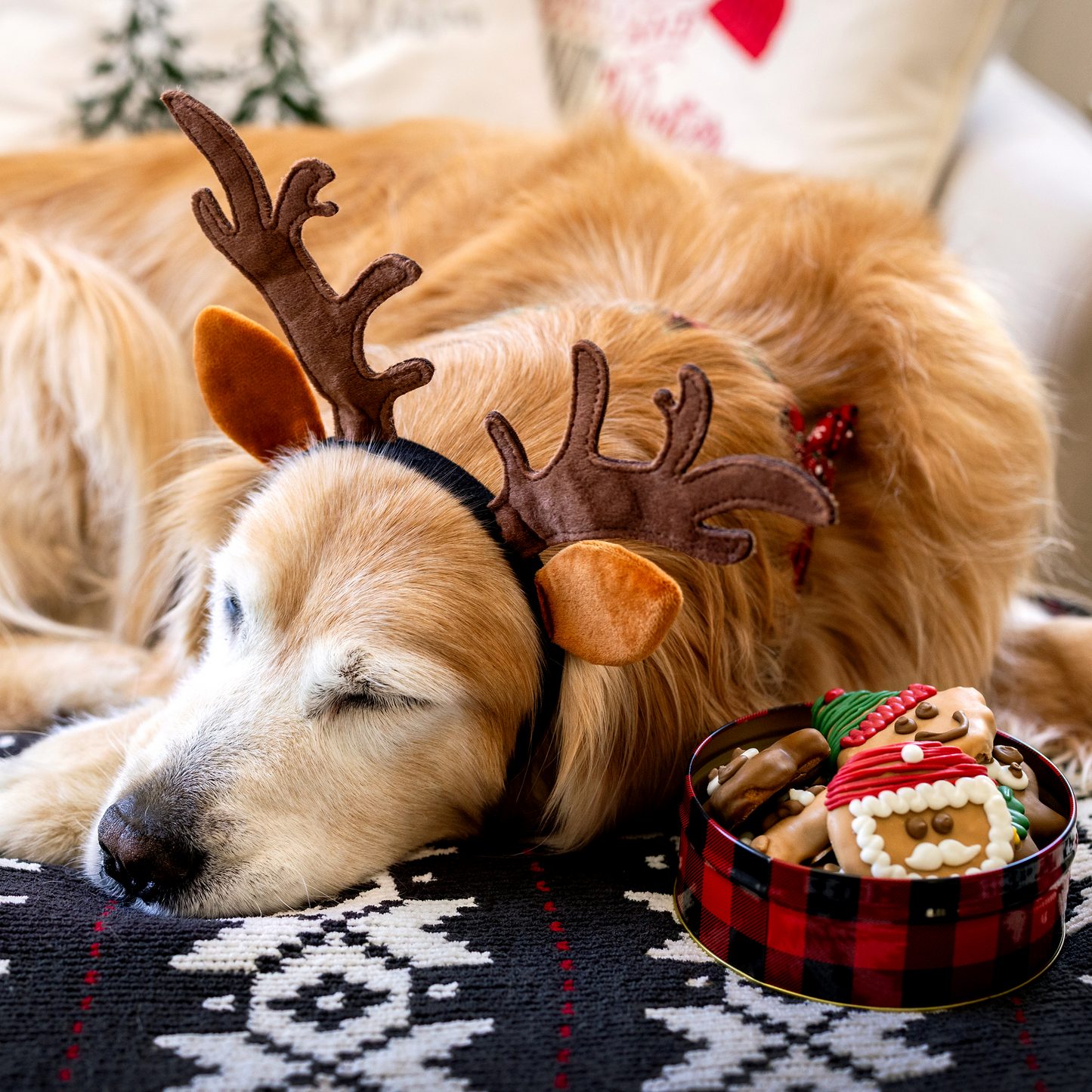 Wufers 12-Day Advent for Dogs | Giftable Santa's Silly Crew Cookie Box (12pk)
