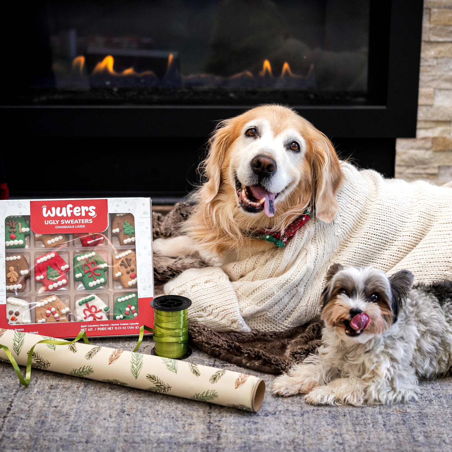 Wufers 12-Day Advent for Dogs | Giftable Ugly Sweater Cookie Box (12pk)