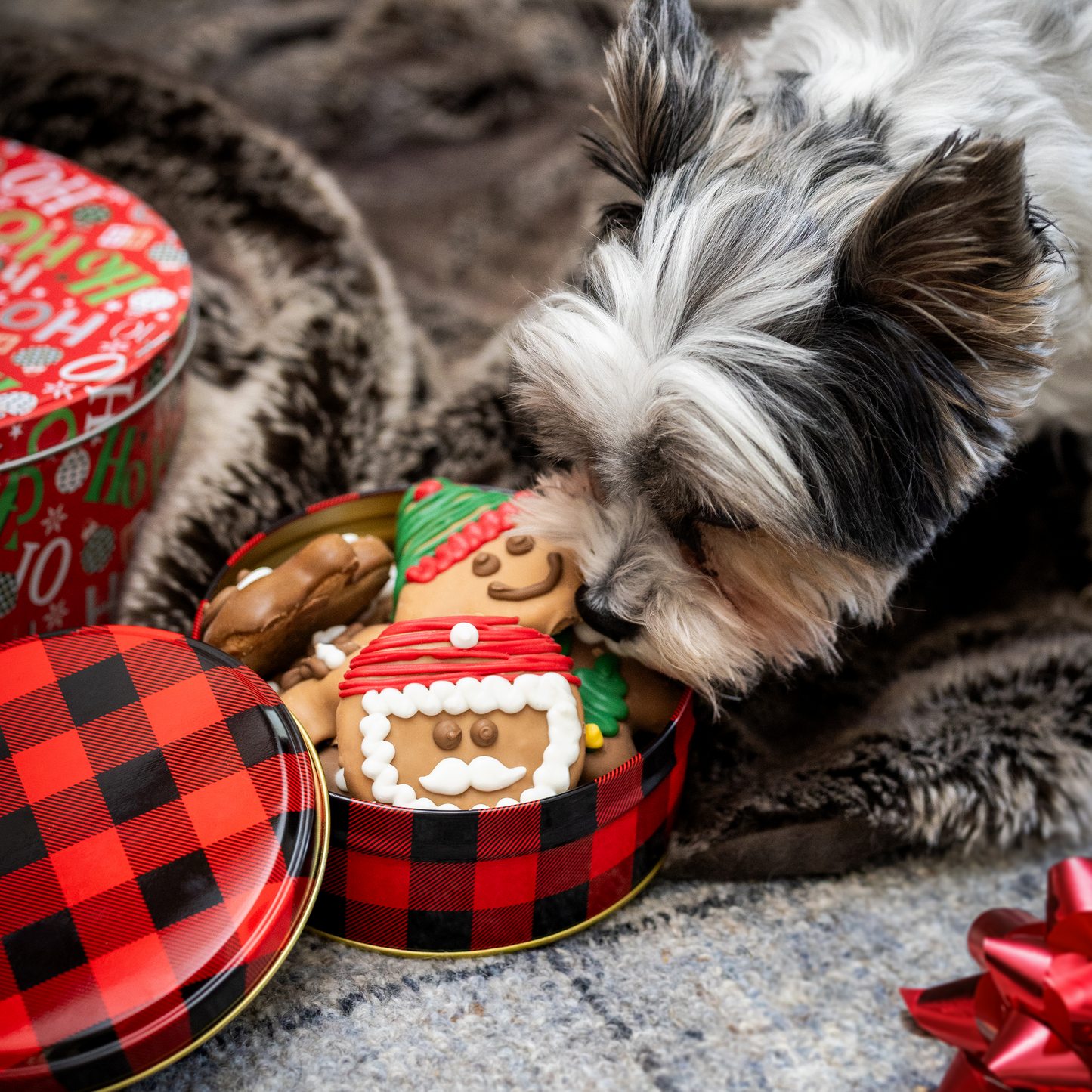 Wufers 12-Day Advent for Dogs | Giftable Santa's Silly Crew Cookie Box (12pk)