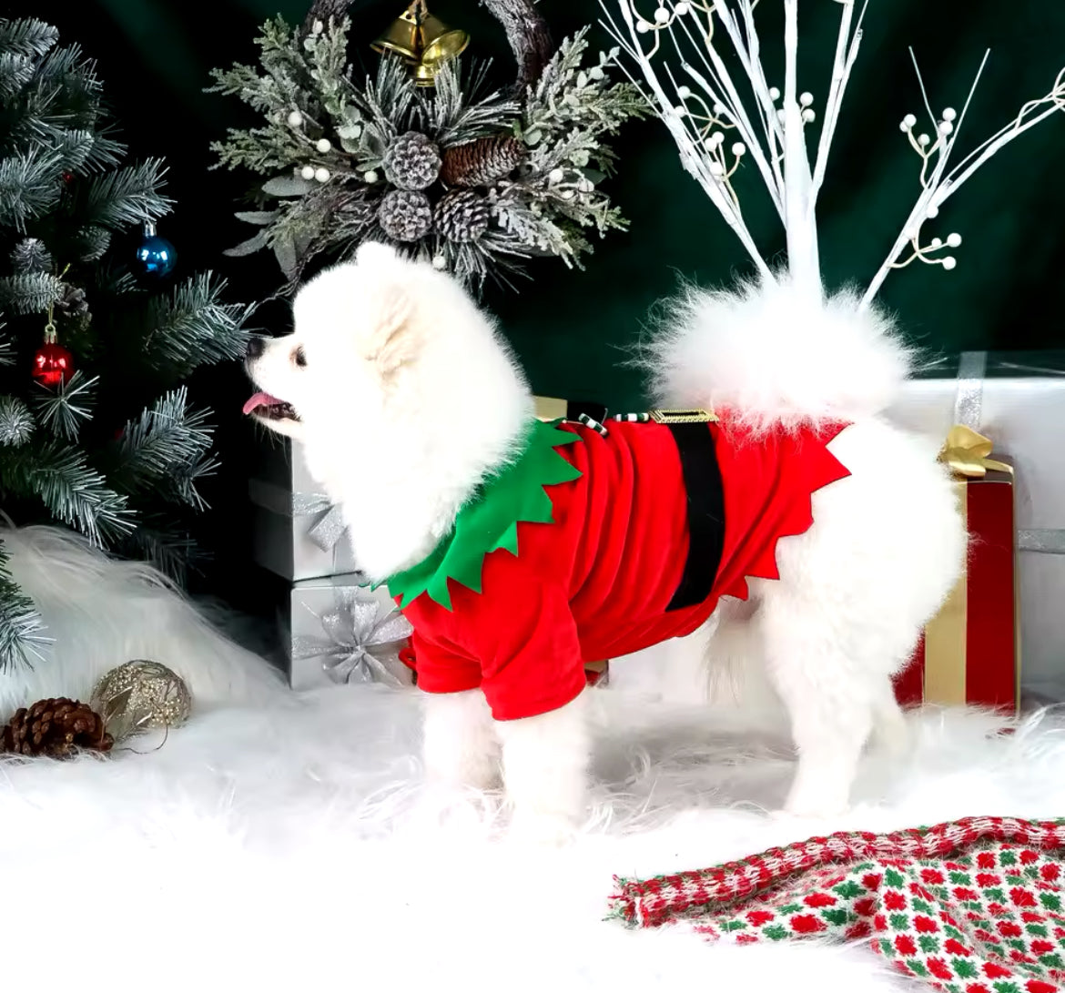 Elf Christmas Outfit – Festive Holiday Costume for Dogs