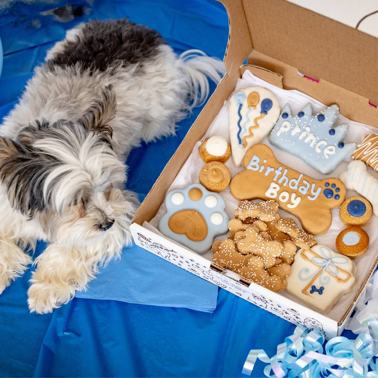 Wufers Birthday Boy Dog Cookie Box
