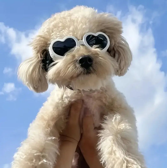 Heart Dog Goggles | Heart Shape Dog Eyewear