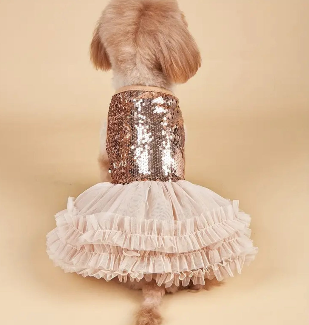 Eloise Dog Dress | Designer Pet Dress