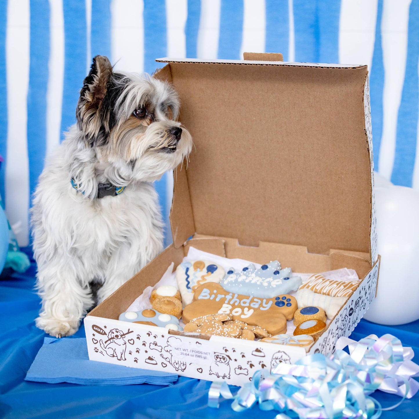 Wufers Birthday Boy Dog Cookie Box