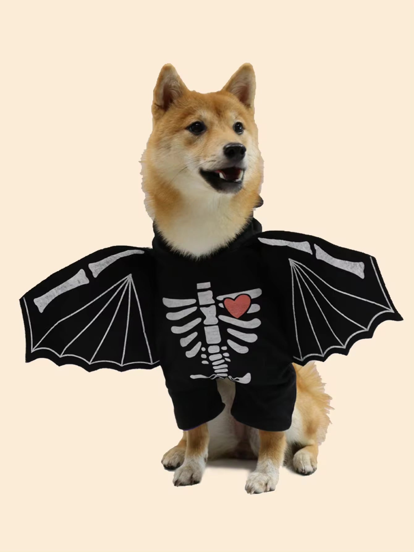 BatDog Halloween Costume | Dog Costume with Hat