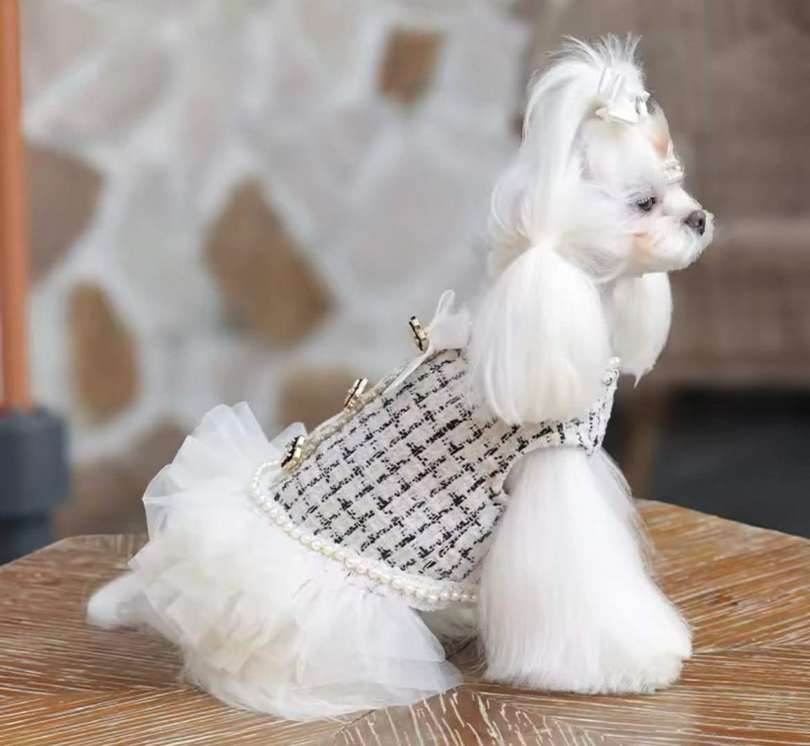 Coco Chewnel Dress – Luxury Tweed Dog Dress