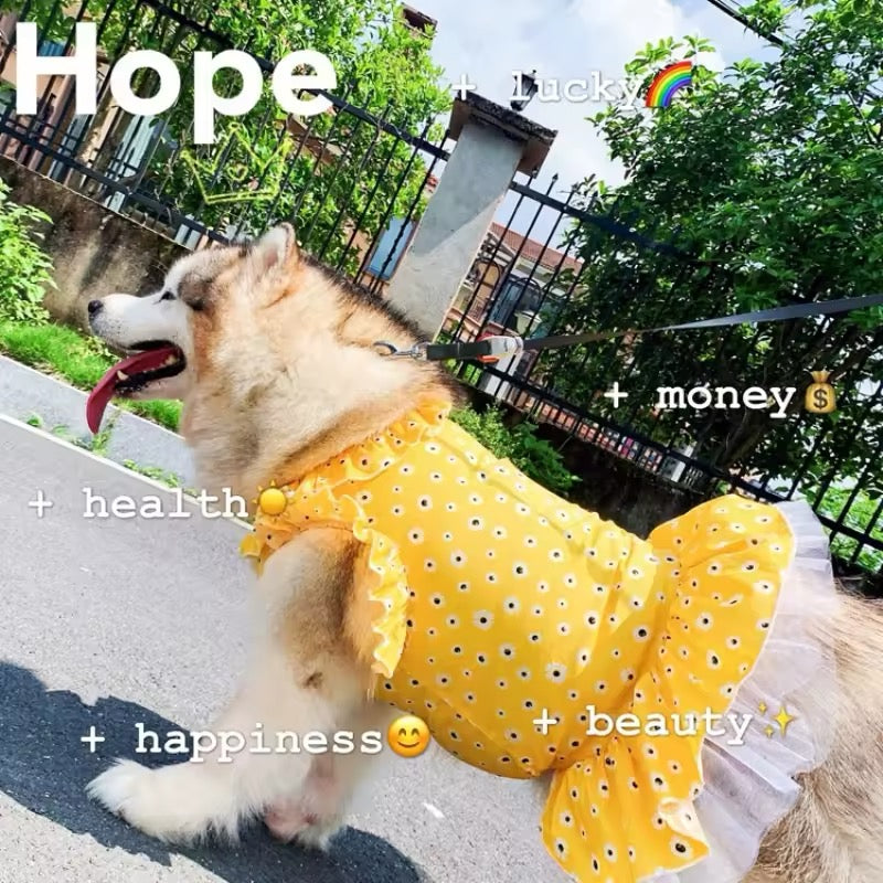 Daisy Spring Dress – Floral Luxury Dog Dress for Large Breeds