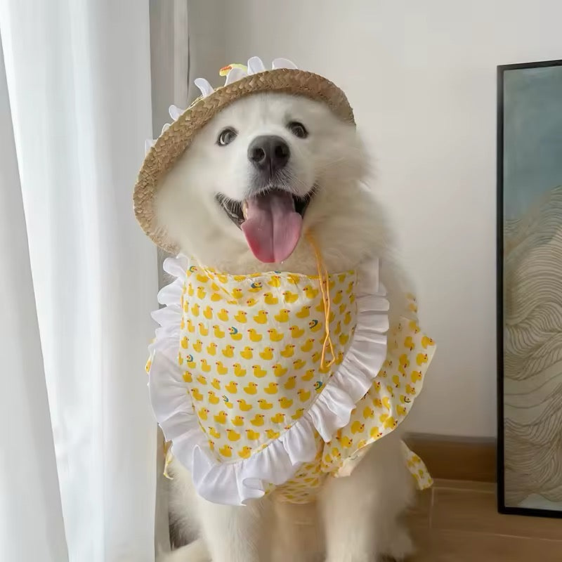 Summertime Happiness Dress Set – Luxury Large Breed Dog Dress with Hat