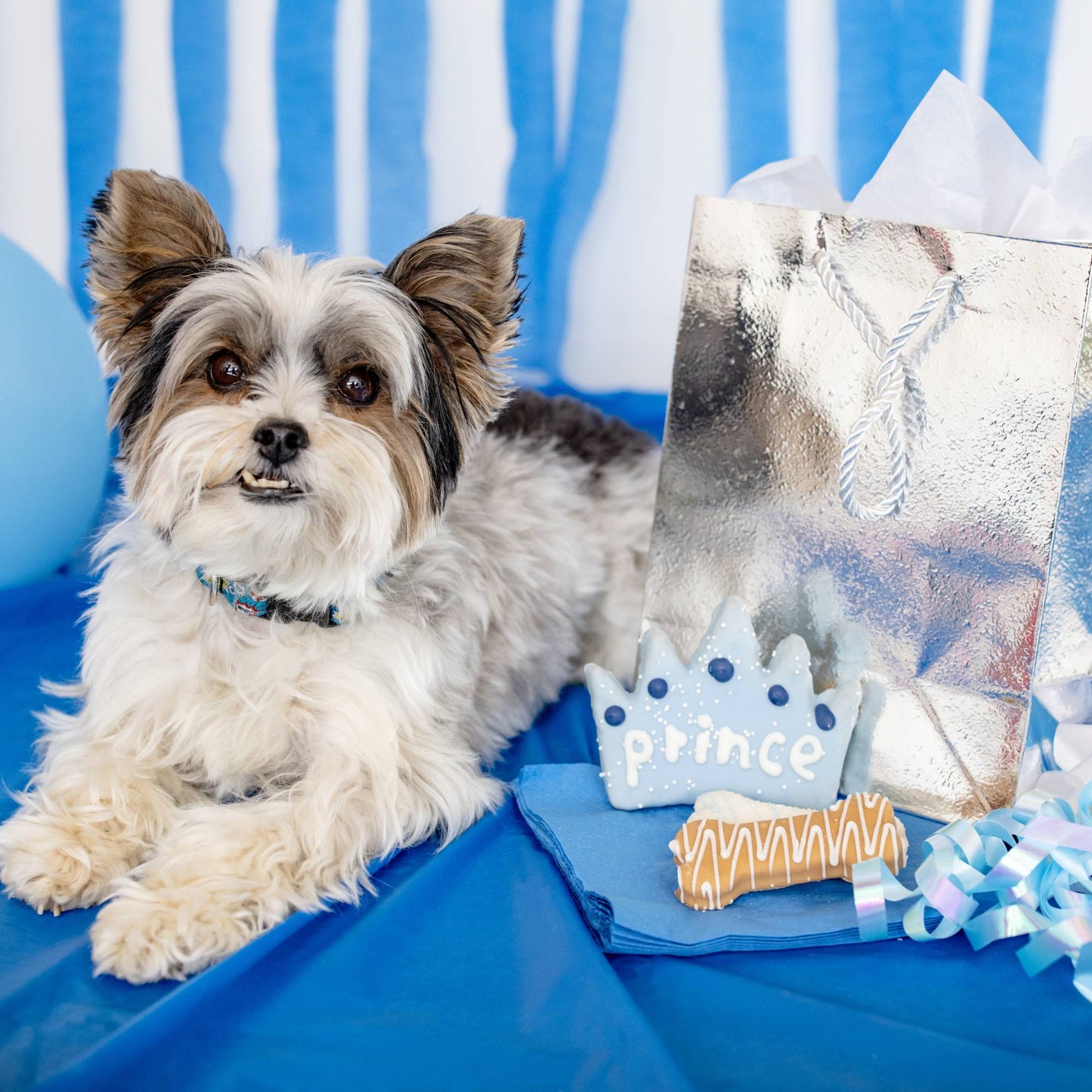 Wufers Birthday Boy Dog Cookie Box