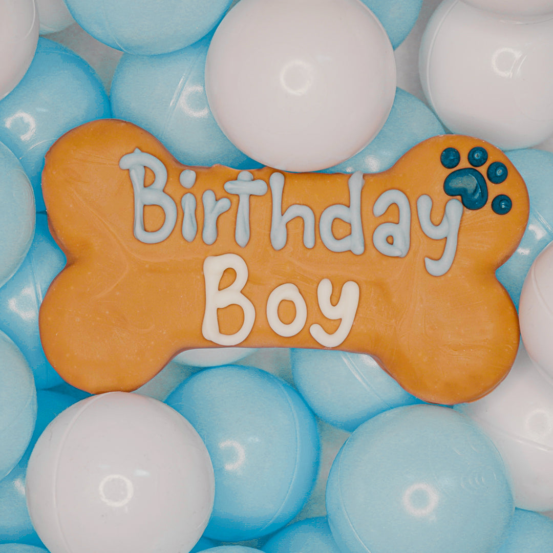 Wufers Birthday Boy Dog Cookie Box