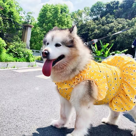 Daisy Spring Dress – Floral Luxury Dog Dress for Large Breeds