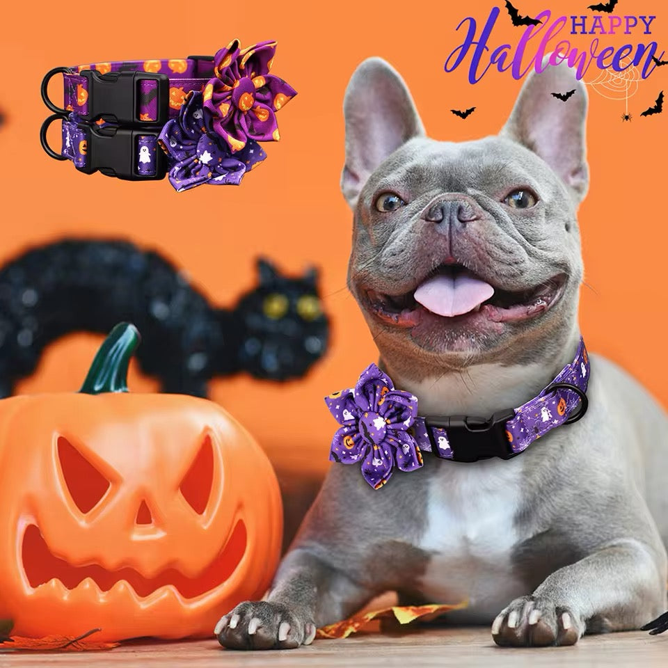 Halloween Dog Collar | Seasonal Dog Collar
