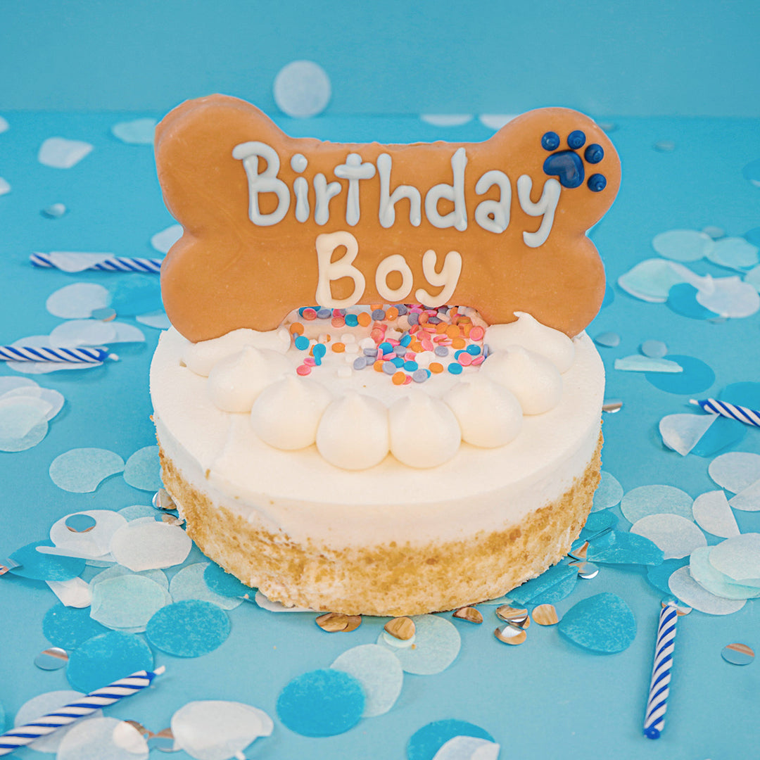 Wufers Birthday Boy Dog Cookie Box