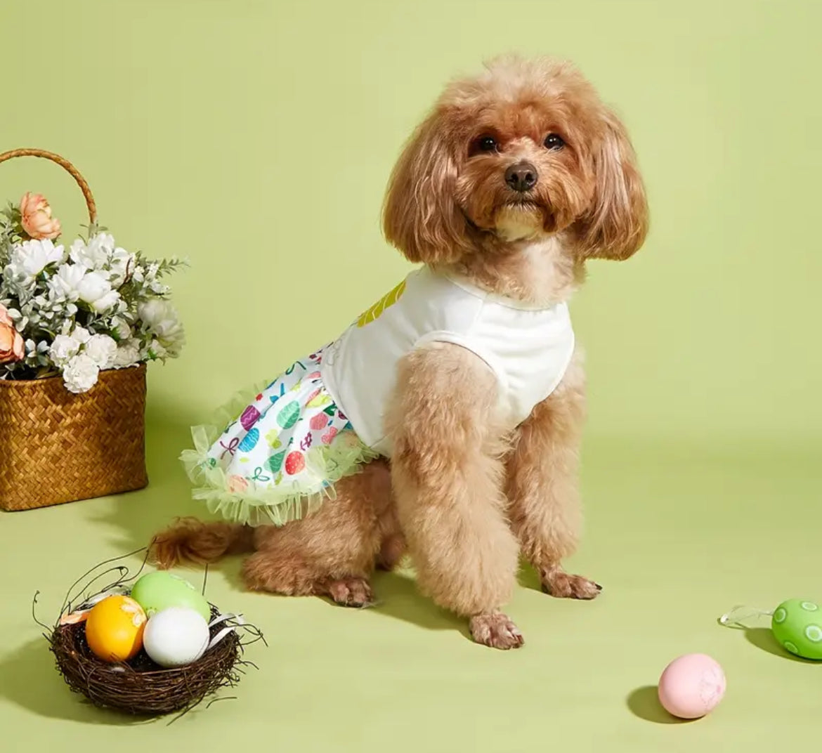 Easter Egg Dress – Festive Luxury Dog Dress