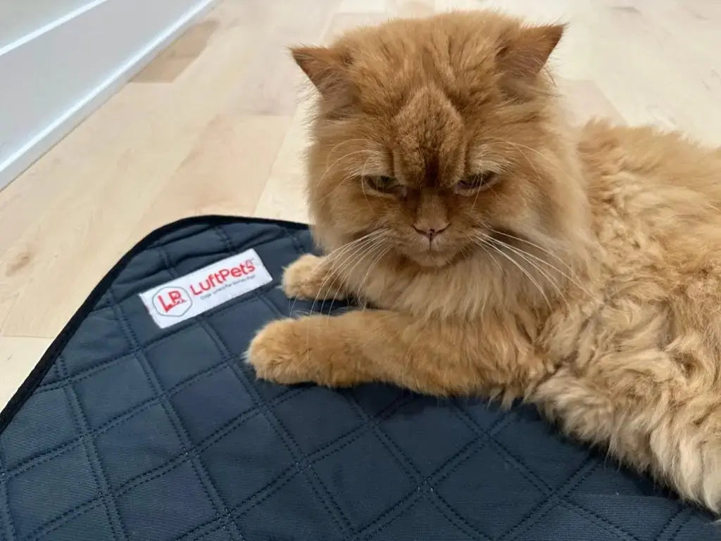 Reusable Rabbit & Guinea Pig Cage Liners  -5-Pcs - for Midwest & C&C 2x4