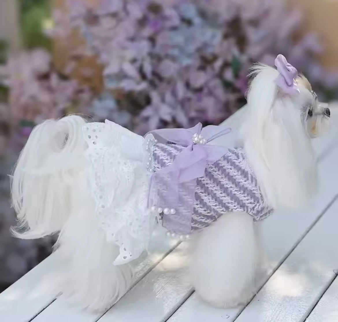 Lavender Dream Dress – Luxury Dog Dress
