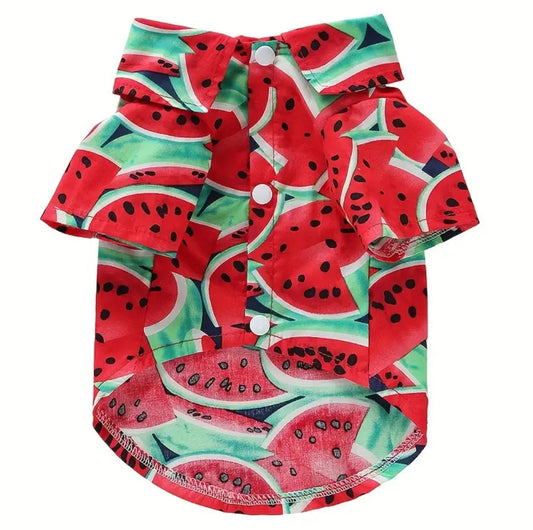 Watermelon Dog T-Shirt | Graphic Dog Shirt