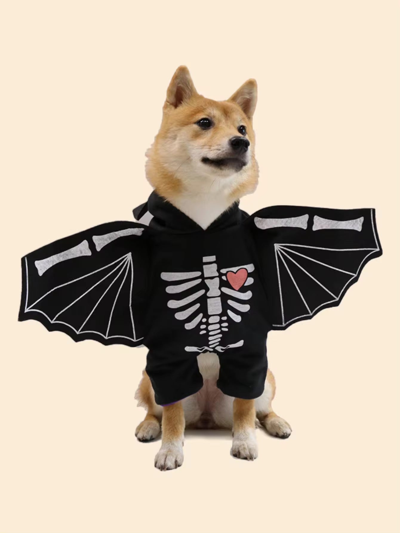 BatDog Halloween Costume | Dog Costume with Hat