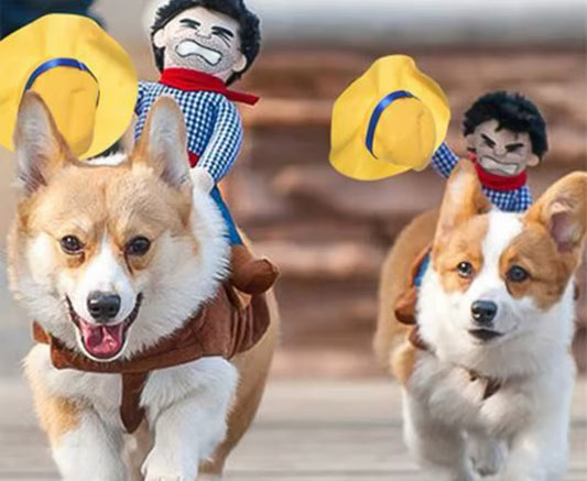 Cowboy Halloween Costume for Dogs – Western Dog Costume