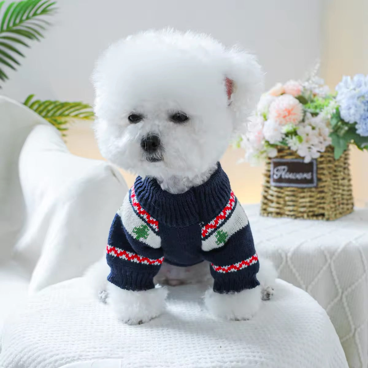 Badger Christmas Sweater for Dogs – Festive Holiday Dog Sweater