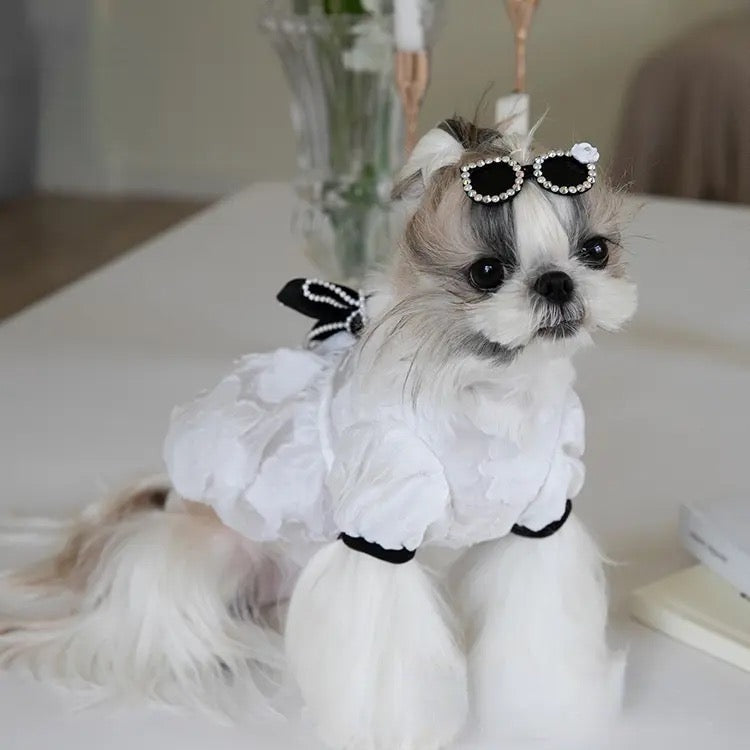 Chewnel Dress for Dogs – Elegant Dog Dress Outfit
