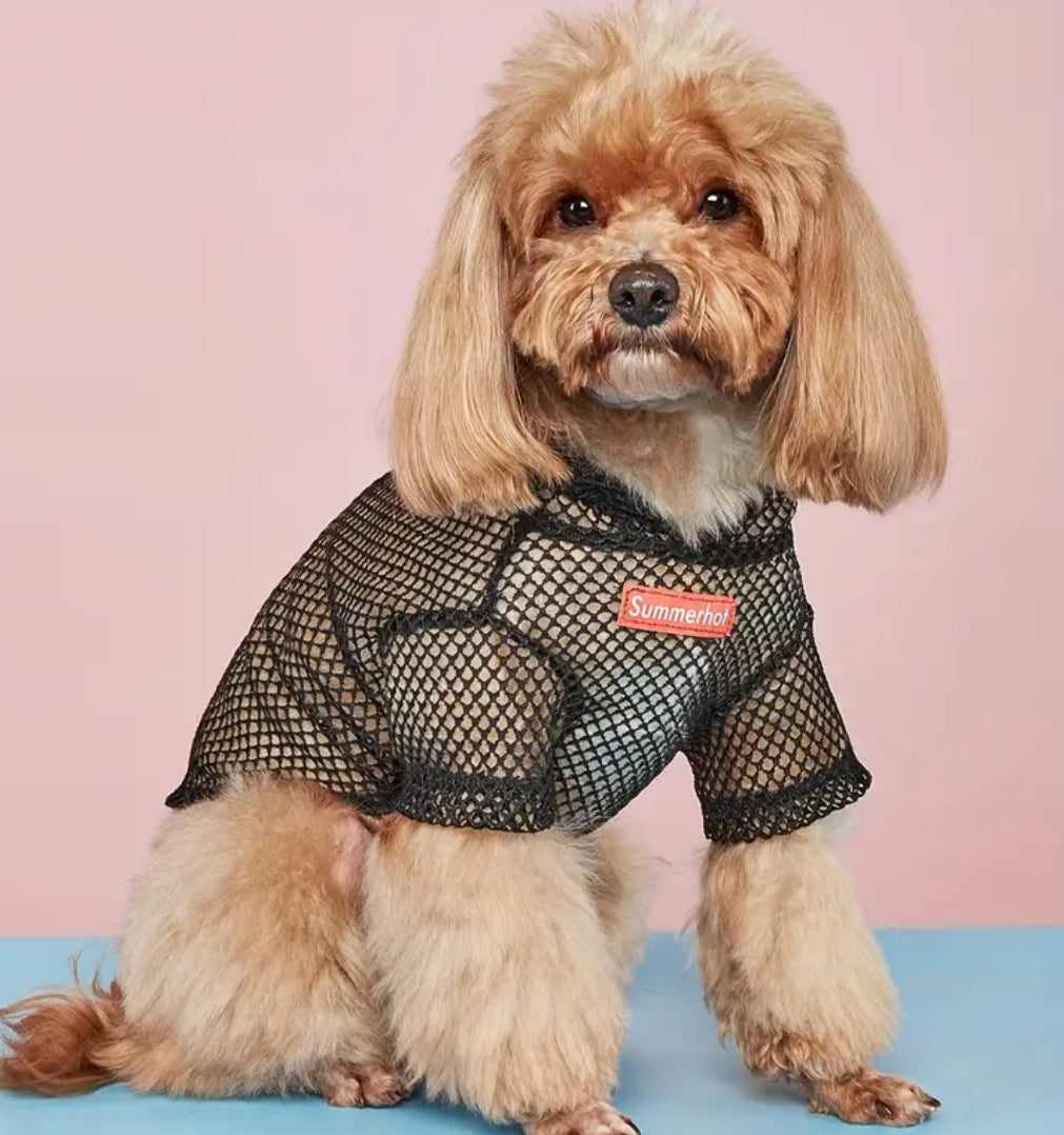 Ezra Dog Shirt | Mesh Pet Shirt