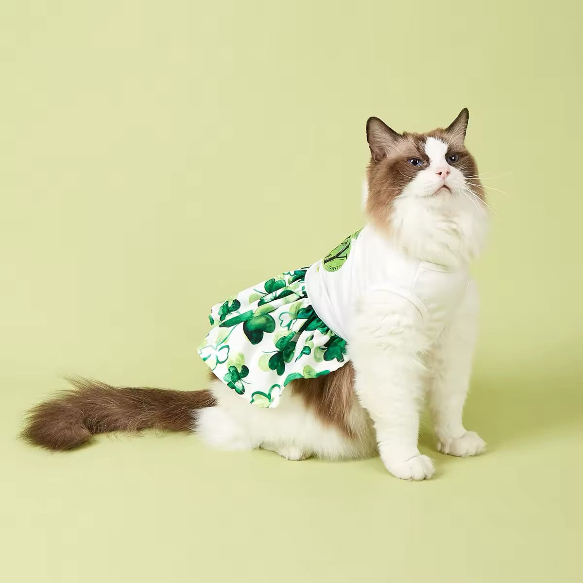 It’s Your Lucky Day Dress – Saint Patrick’s Day Dog Dress