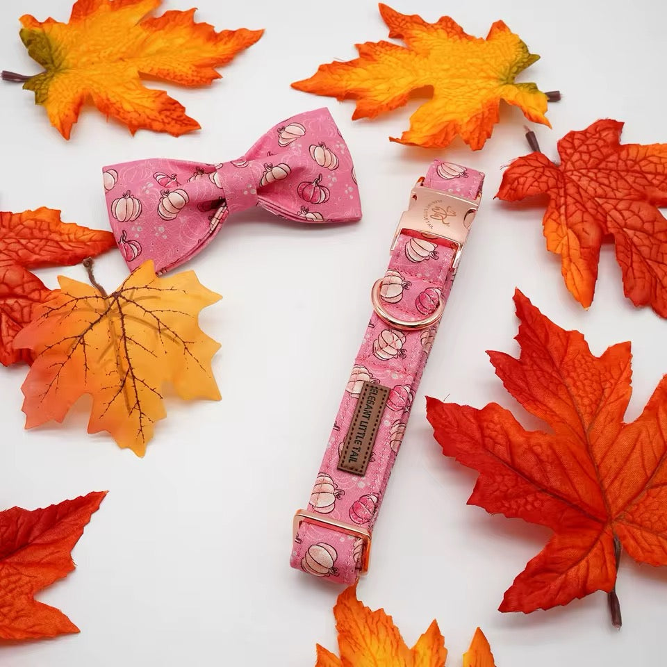 Pumpkin Dog Collar | Dog Halloween Collar
