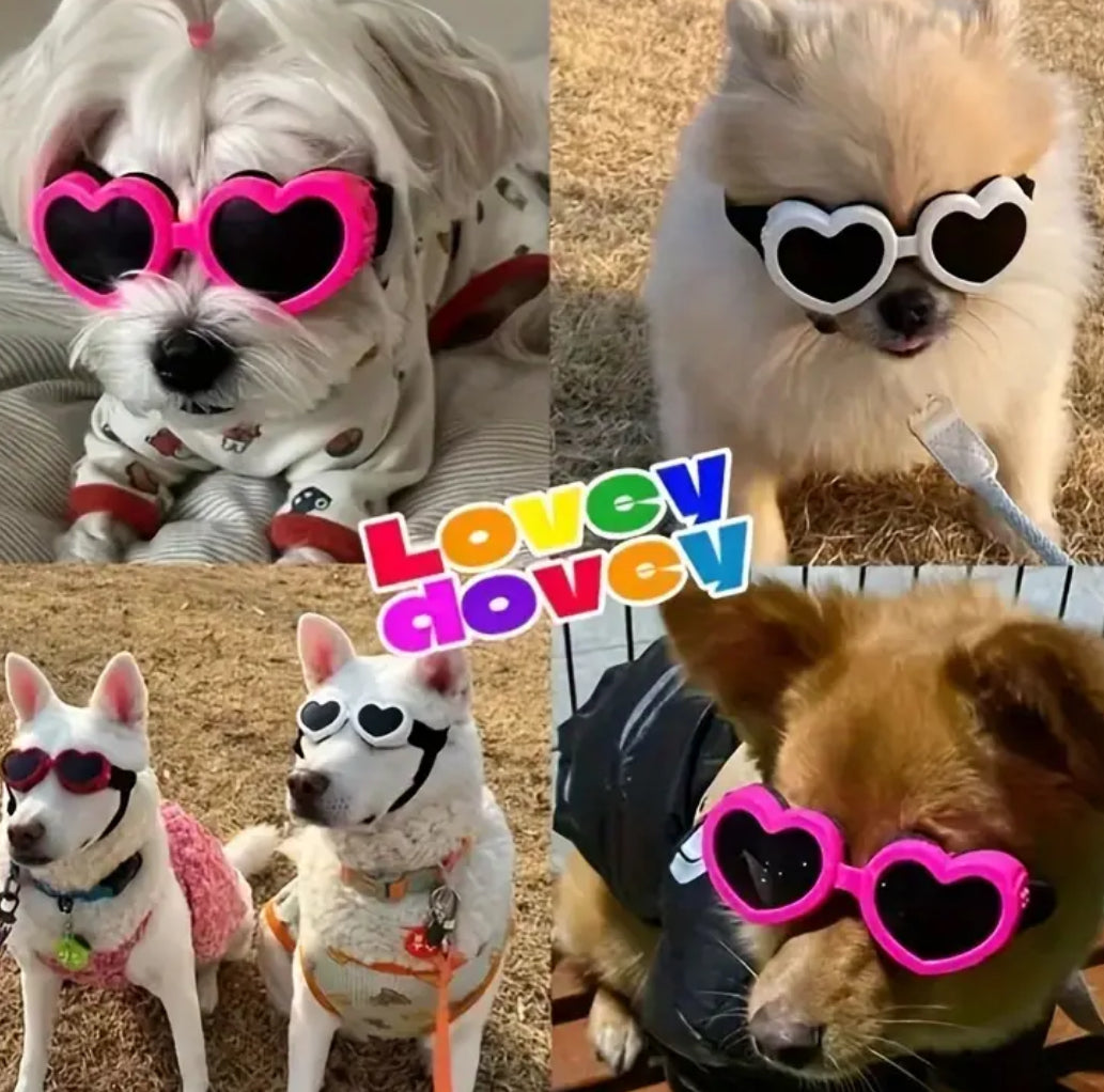 Heart Dog Goggles | Heart Shape Dog Eyewear