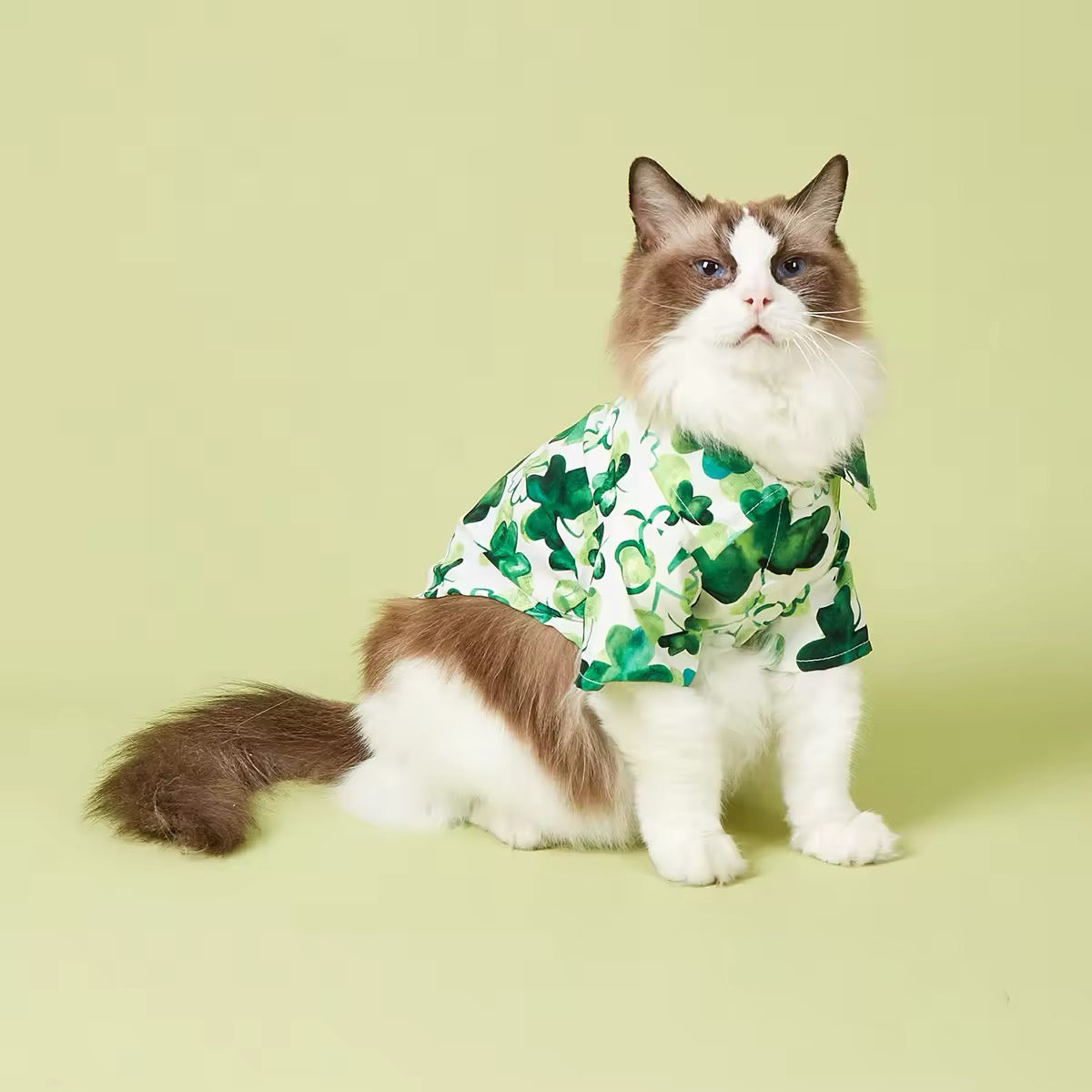 Saint Patrick’s Day Dog Shirt – Festive Holiday Pet Tee