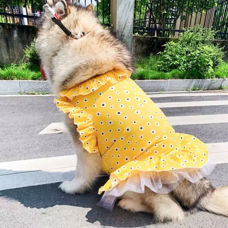 Daisy Spring Dress – Floral Luxury Dog Dress for Large Breeds