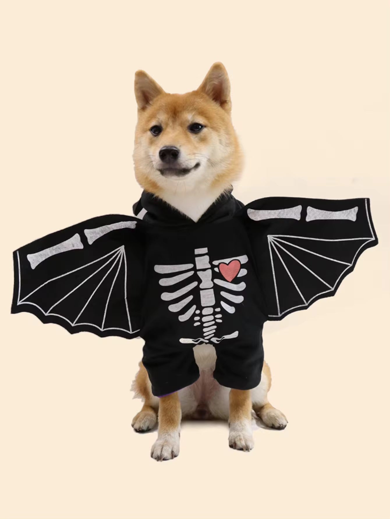 BatDog Halloween Costume | Dog Costume with Hat