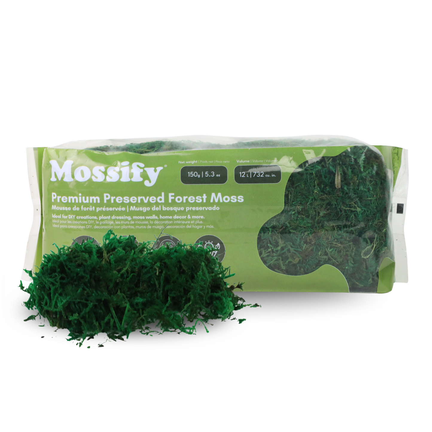 Premium Preserved Forest Moss