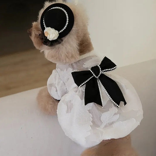 Chewnel Dress for Dogs – Elegant Dog Dress Outfit