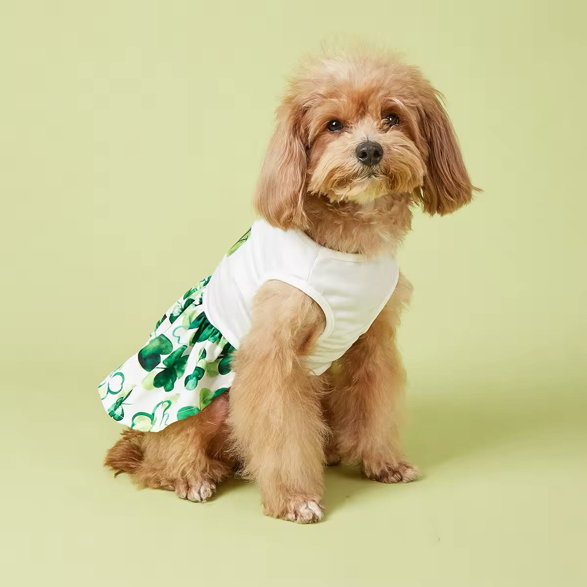 It’s Your Lucky Day Dress – Saint Patrick’s Day Dog Dress