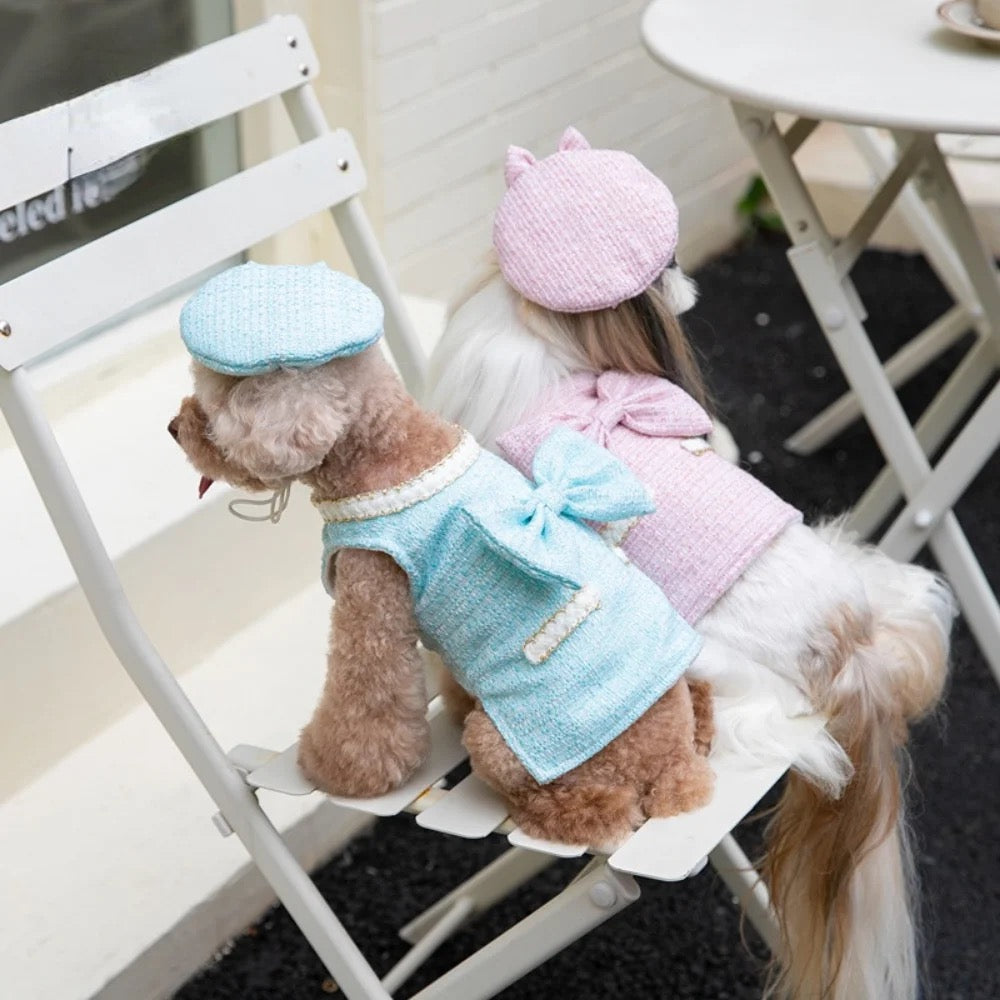 Paris Dog Dress & Hat Set – Elegant Outfit for Dogs