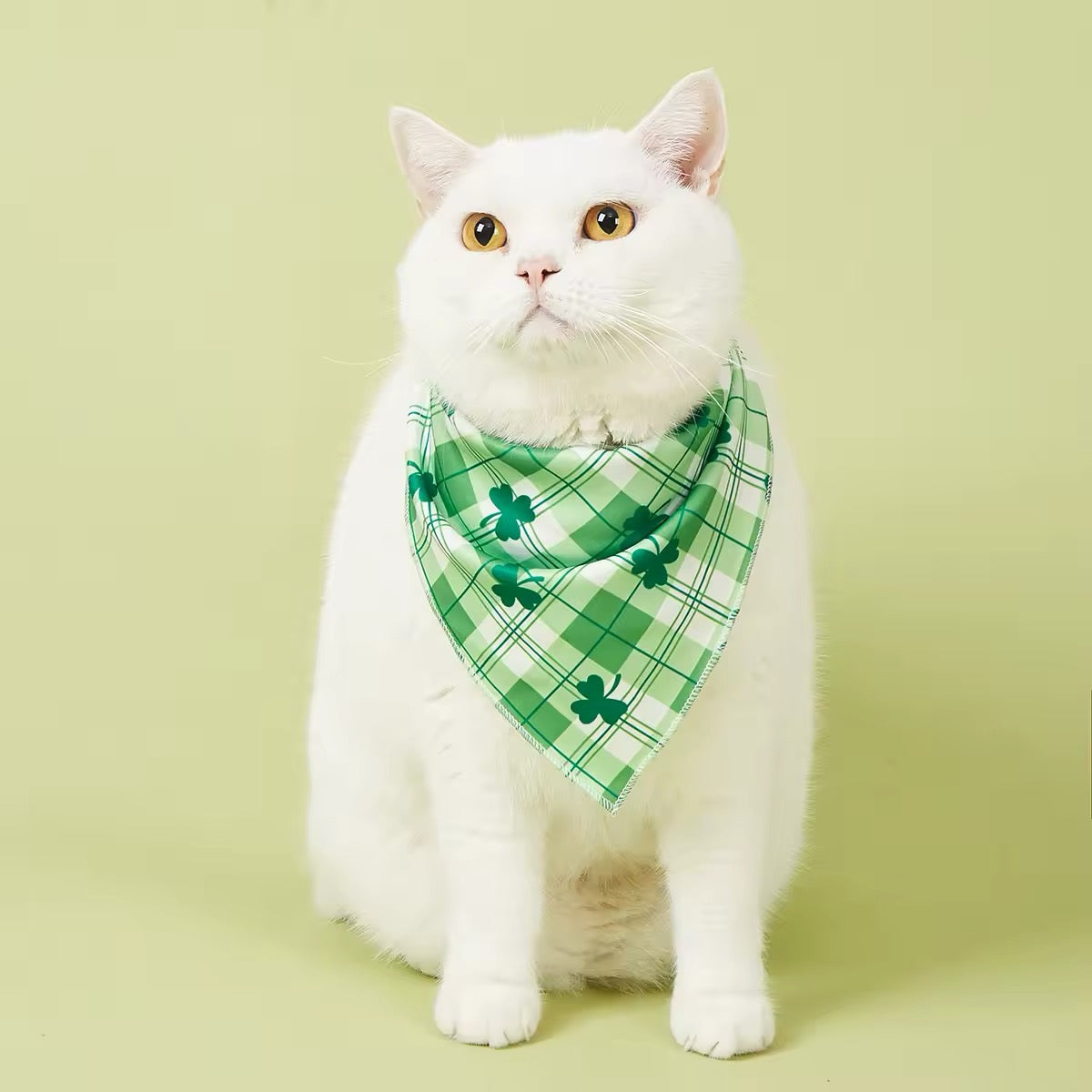 Saint Patrick’s Day Dog Bandana – Festive Holiday Pet Accessory