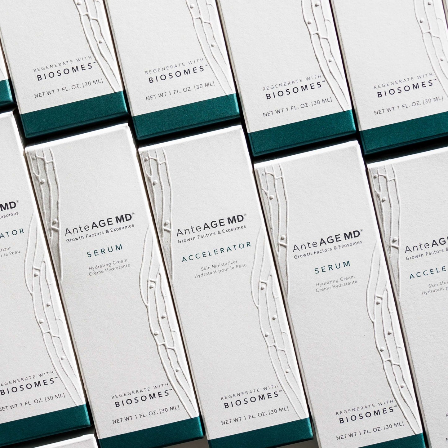 AnteAGE MD Biosome System Serum + Accelerator