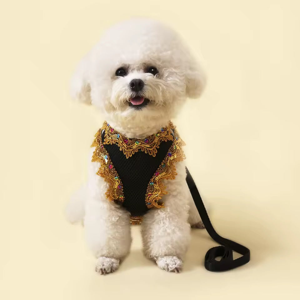 Crystal Lace Dog Harness & Leash Set – Luxury Designer Pet Wear