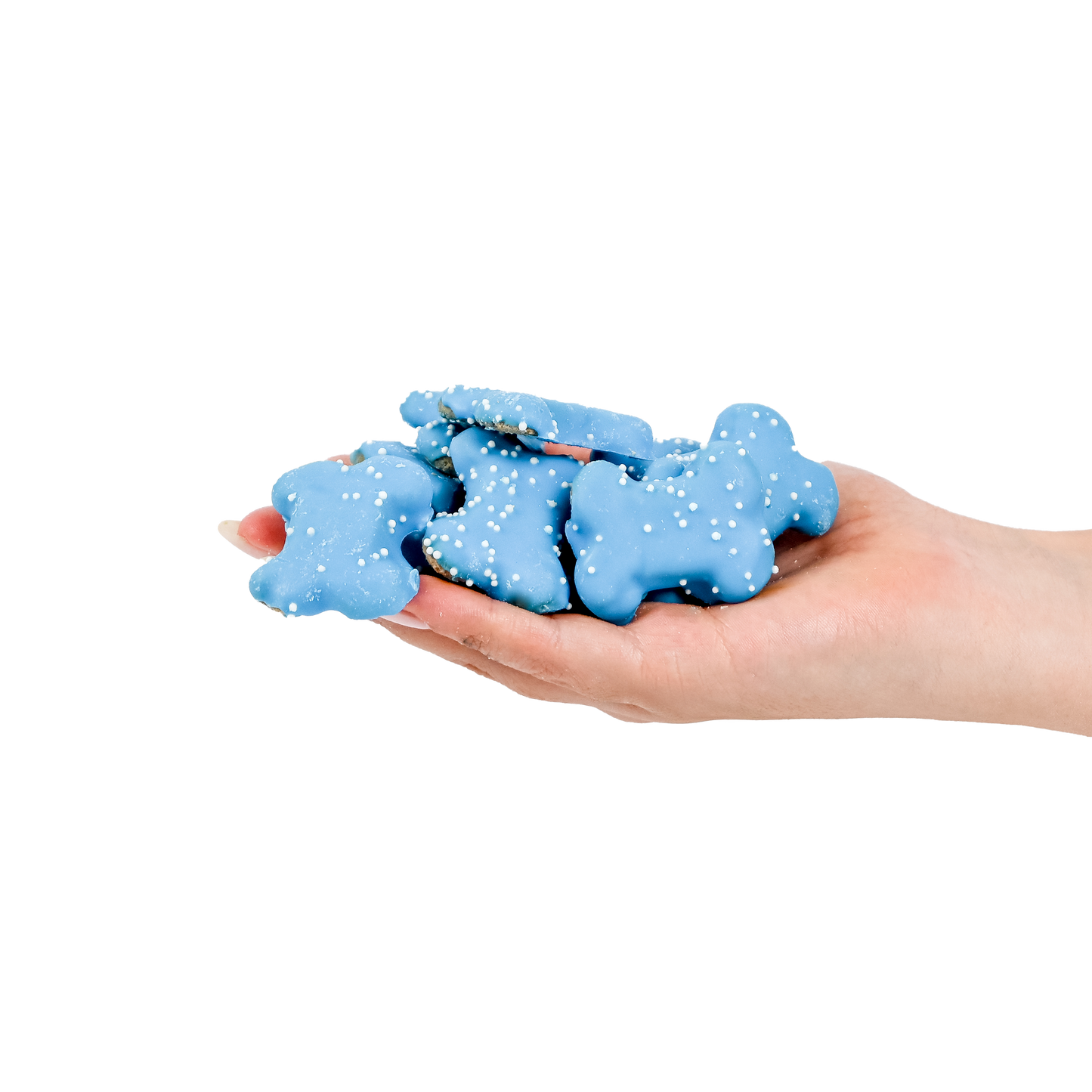 Blue Bag O' Endless Bones