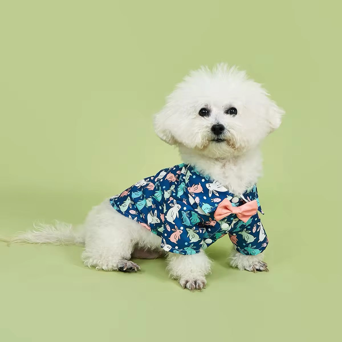 Easter Bunny Shirt – Festive Luxury Dog Shirt