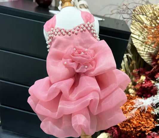 Jannette Dress – Pearl-Embellished Luxury Dog Dress